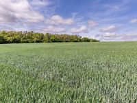 Property Image for Land At Blacklaines Farm, B4070, Birdlip, Gloucestershire, GL4 8LH