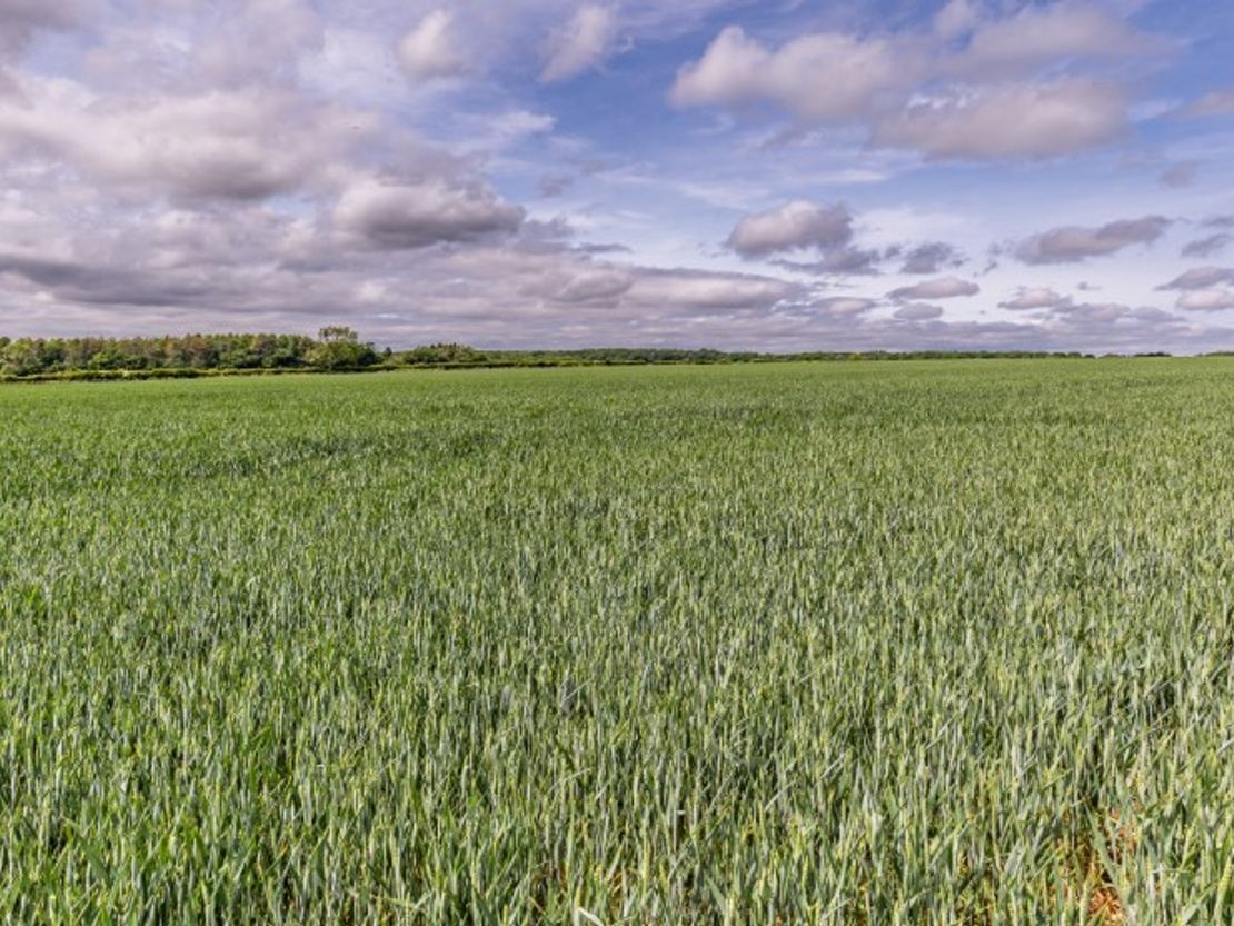 Land At Blacklaines Farm, B4070, Birdlip, Gloucestershire, GL4 8LH