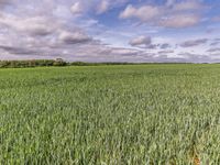 Property Image for Land At Blacklaines Farm, B4070, Birdlip, Gloucestershire, GL4 8LH