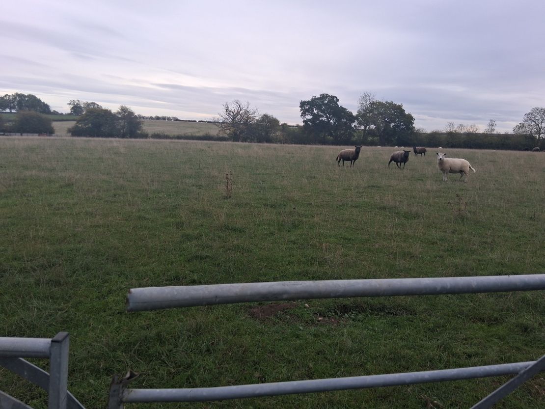 Lot 3 - Ruells Farm And Land At Church Farm, Church Road, Castlemorton, Malvern, Worcestershire, WR13 6BH