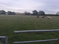 Property Image for Lot 3 - Ruells Farm And Land At Church Farm, Church Road, Castlemorton, Malvern, Worcestershire, WR13 6BH