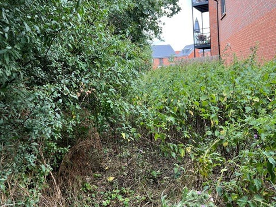 Land Adjoining The Rosary And The Leas, Wycke Hill, Maldon, Essex, CM9 6SH