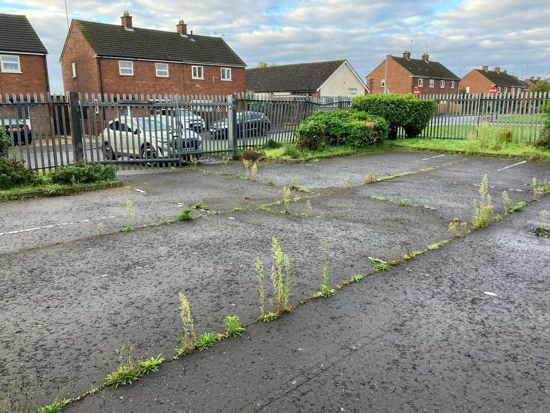 Former Police Station, Land Lying To The East Of Mayflower Avenue, North Lynn, PE30 2NR