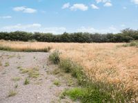 Property Image for Former Smallholding to the West of Usselby | Market Rasen | Lincolnshire | LN8 3YJ