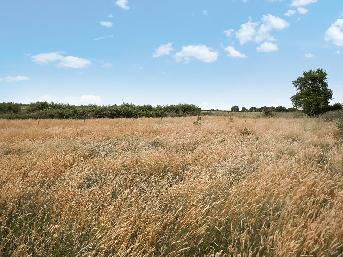 Former Smallholding to the West of Usselby | Market Rasen | Lincolnshire | LN8 3YJ