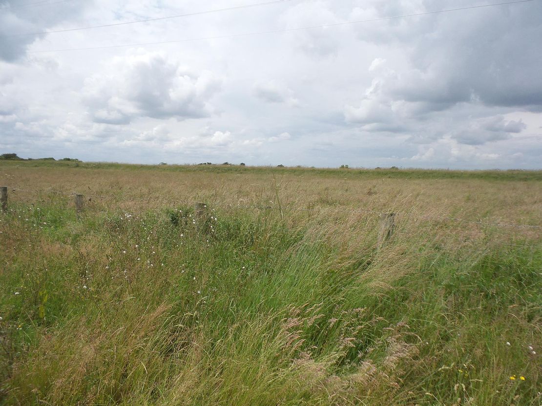 Marsh Road | Off Bucklegate Lane | Fosdyke | Lincolnshire | PE20 1NA