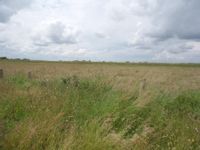 Property Image for Marsh Road | Off Bucklegate Lane | Fosdyke | Lincolnshire | PE20 1NA