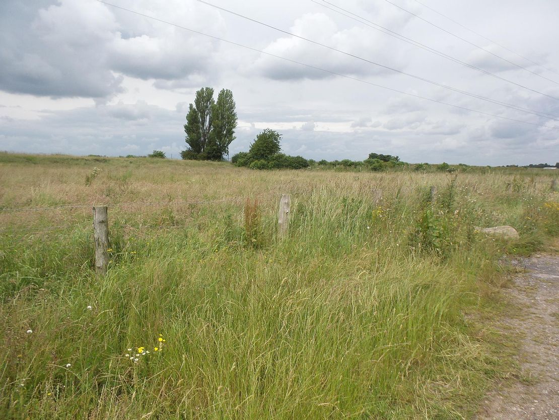Marsh Road | Off Bucklegate Lane | Fosdyke | Lincolnshire | PE20 1NA