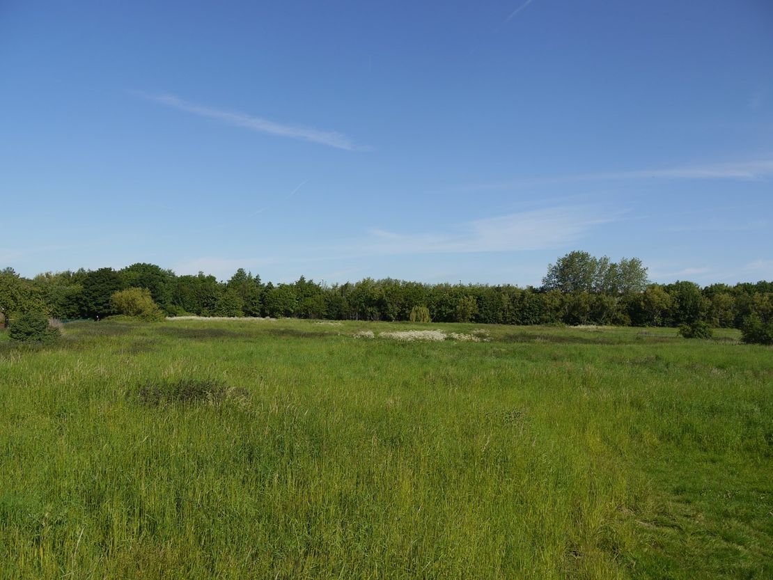 Land At Camberley Road And Hoewood Road, Bulwell, Nottingham, Nottinghamshire, NG6 8JY