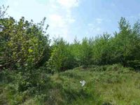 Property Image for Cherry Tree Road Marton Blackpool