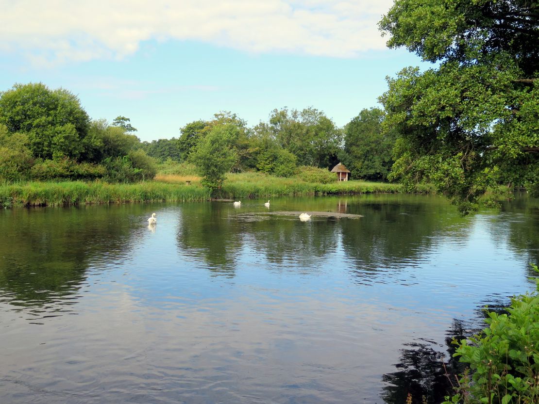 The Timsbury Fishery - Rods, Manor Lane, Timsbury, Hampshire, SO51 0NE
