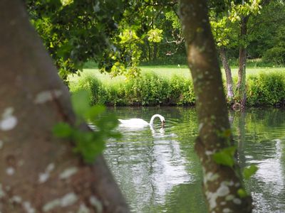 Property Image for The Timsbury Fishery - Rods, Manor Lane, Timsbury, Hampshire, SO51 0NE