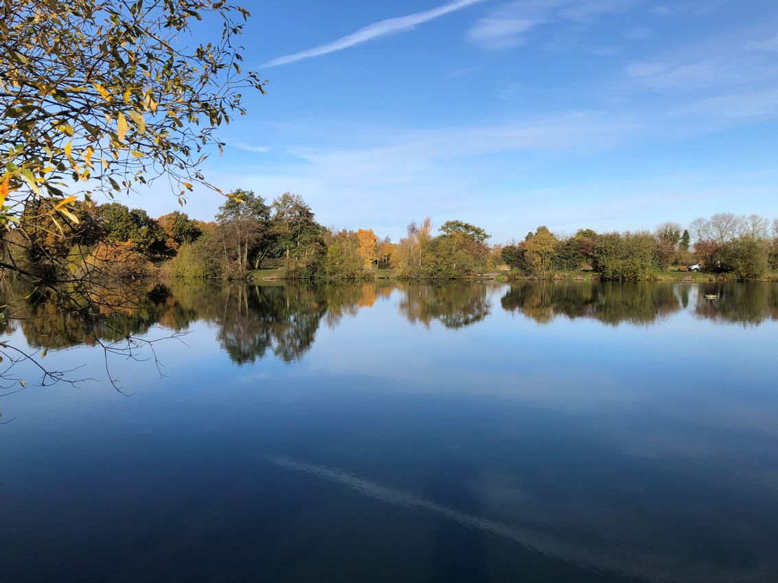For Sale Messingham Sands Fishery, Butterwick Road, Messingham